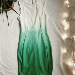 Calvin Klein Green Ombre Gown